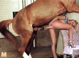 كلب ينيك بنت